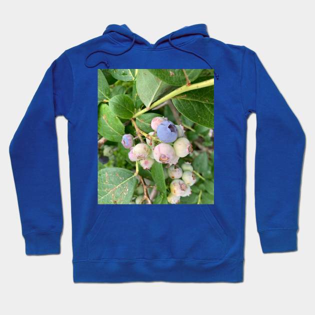 Ripening Blueberries Hoodie by Amanda1775